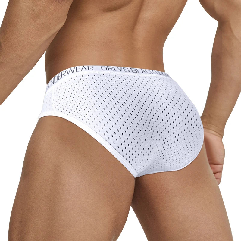 White sheer mesh pouch brief shown from the back with textured dot pattern